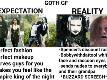 expectation vs reality