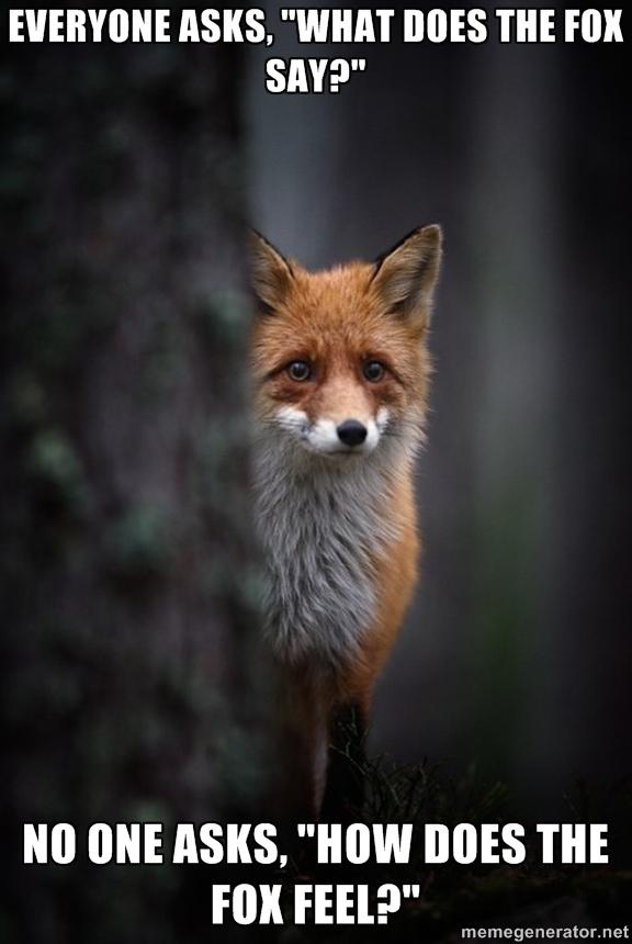 how does the fox feel