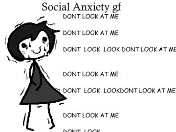 Ideal gf meme