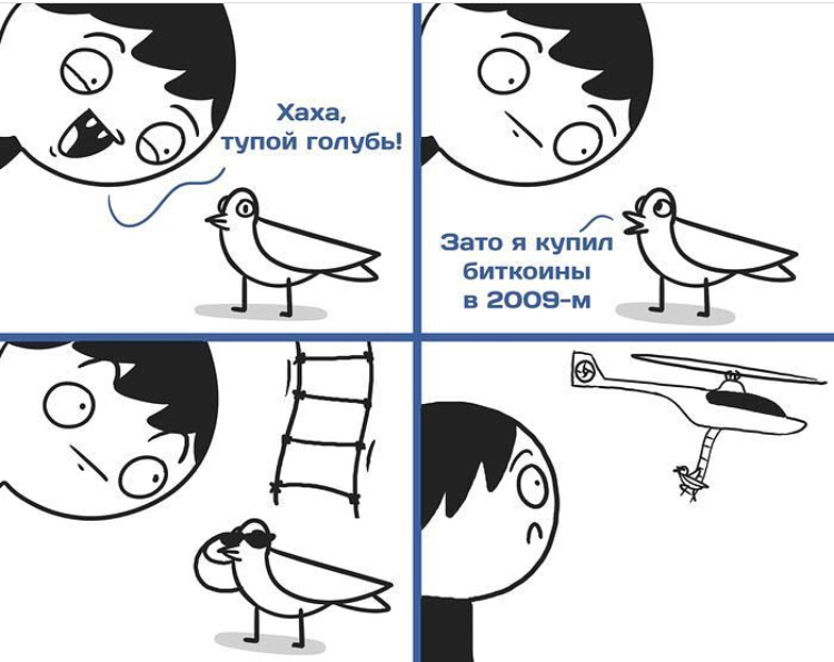 Тупой голубь Тупой голубь