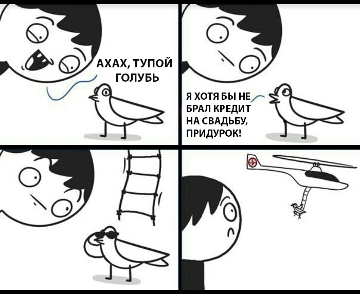 Тупой голубь