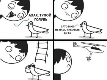 Тупой голубь