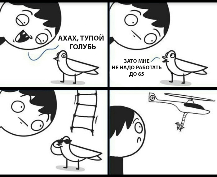 Тупой голубь