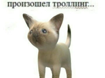 Произошел троллинг...