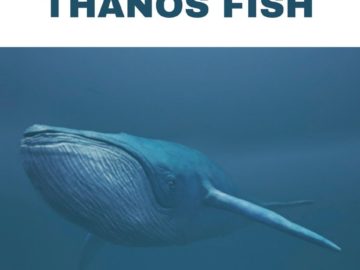THANOS CAR
