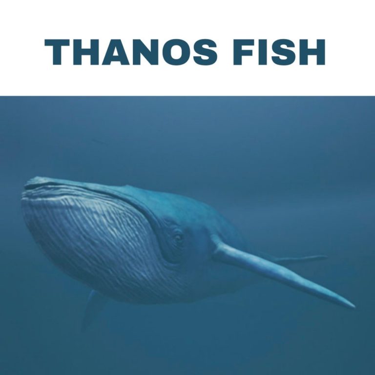 THANOS CAR