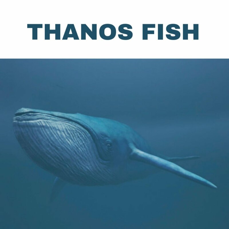 THANOS CAR