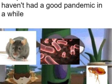 Allow Us to Introduce Ourselves