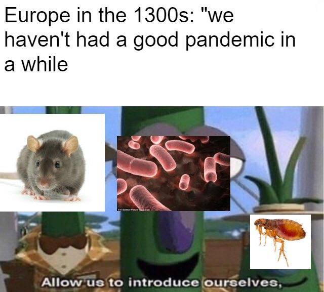 Allow Us to Introduce Ourselves