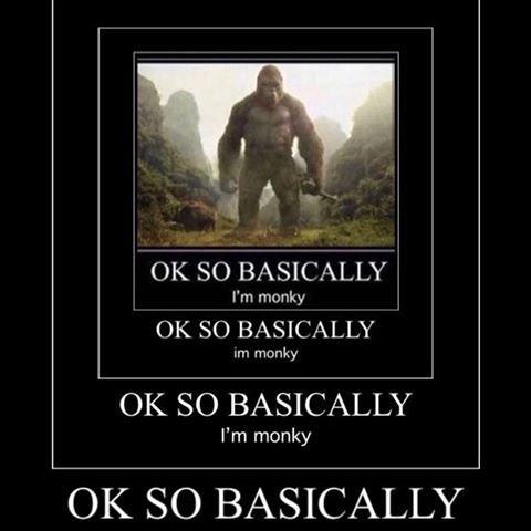 Ok So Basically I'm Monky
