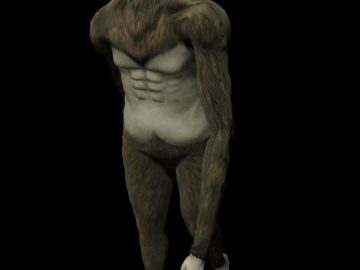 Ok So Basically I'm Monky