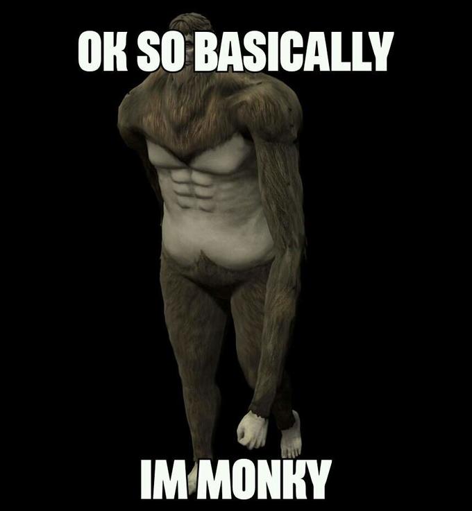 Ok So Basically I'm Monky