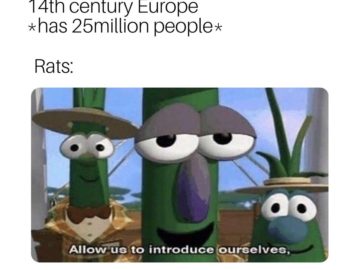 Allow Us to Introduce Ourselves