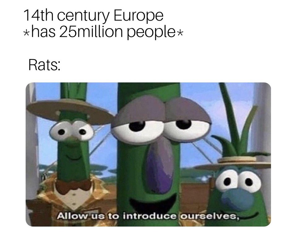 Allow Us to Introduce Ourselves
