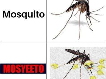 mosyeеto