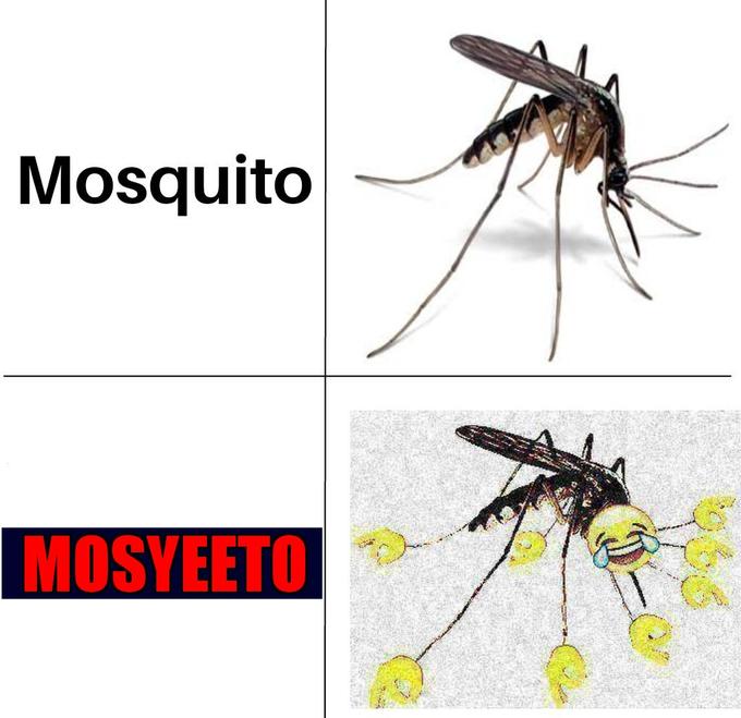 mosyeеto