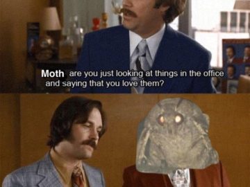 Мемы с молью