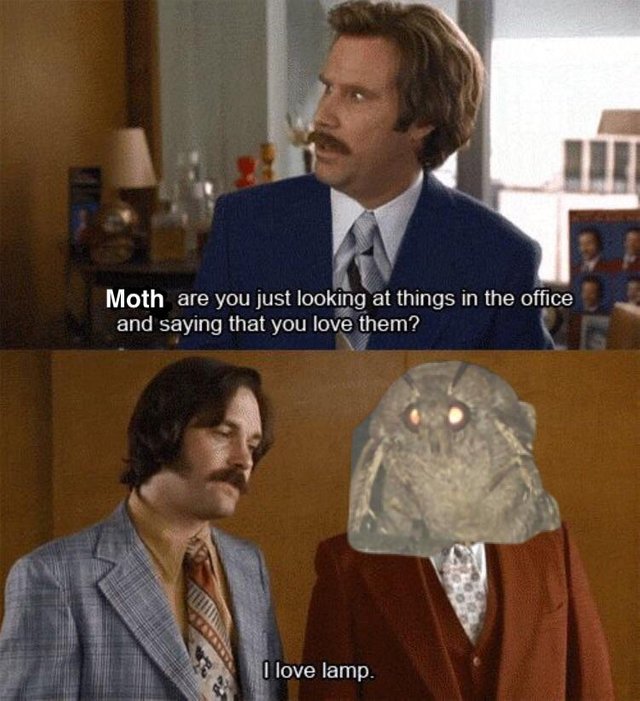 Мемы с молью