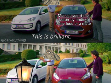 Мемы с молью