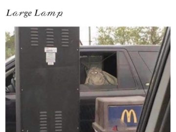 Мемы с молью
