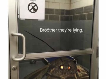 Мемы с молью