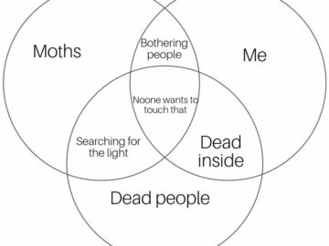 Мемы с молью