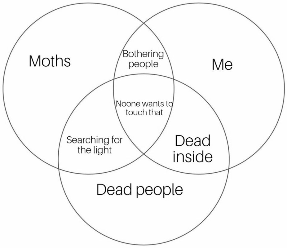 Мемы с молью