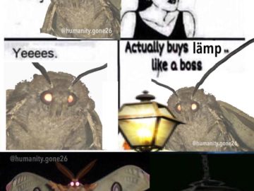 Мемы с молью