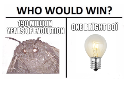 Мемы с молью