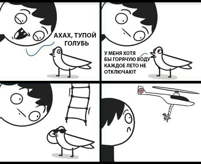 Тупой голубь
