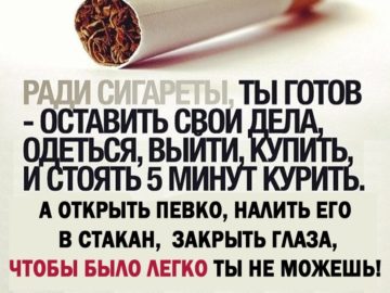 Открываю певко