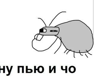 паук пьет говно