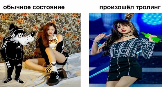Произошел троллинг...