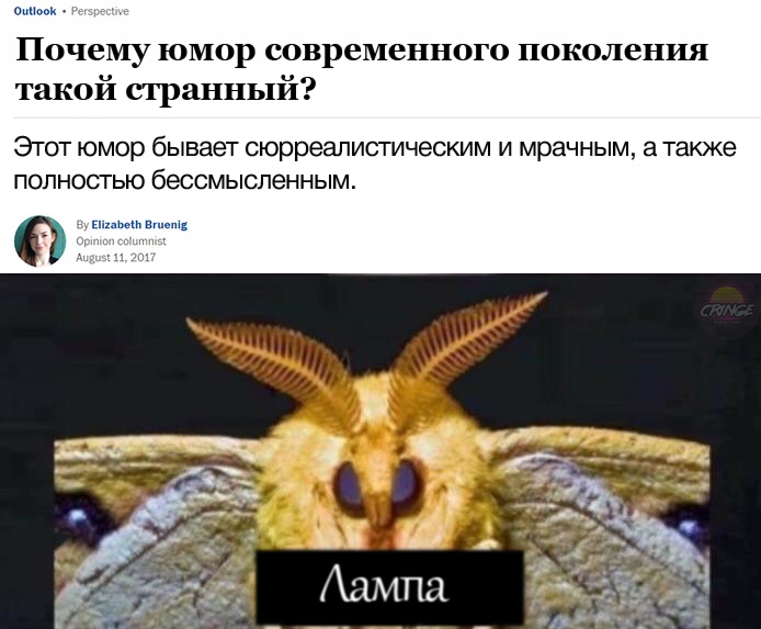 Мемы с молью