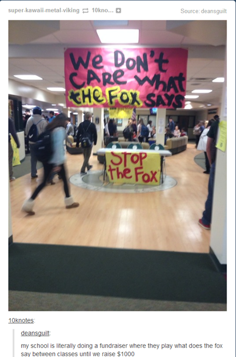 stop the fox