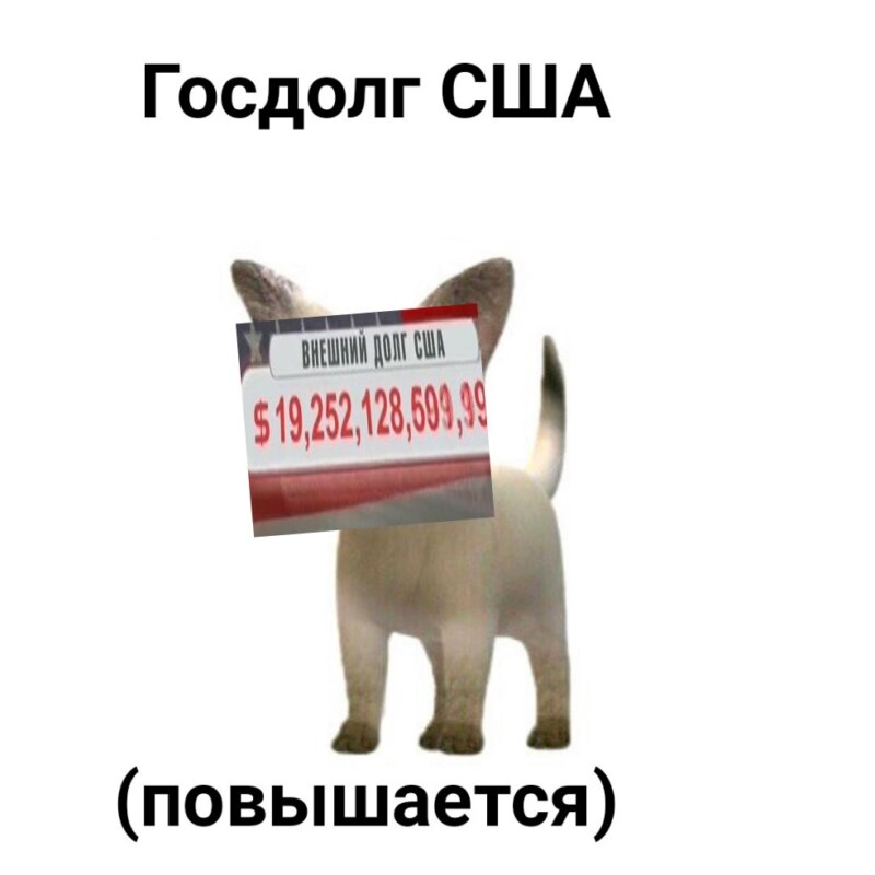 Внешний долг США