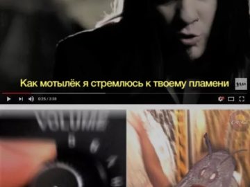Мемы с молью
