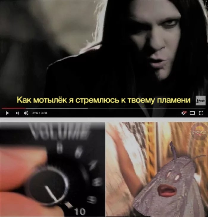 Мемы с молью