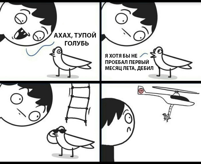 Тупой голубь