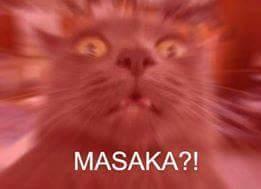 Yamero - Cat