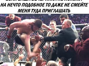 Хабиб перепрыгивает через ограду