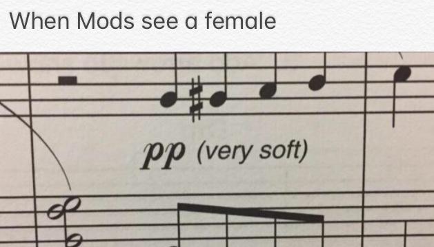 PP (very soft) PP (very soft)