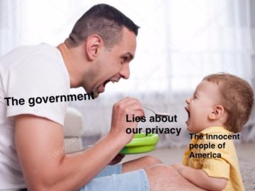 Птиц не существует