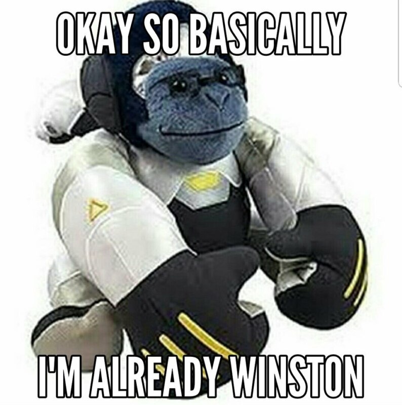 I'm Already Tracer