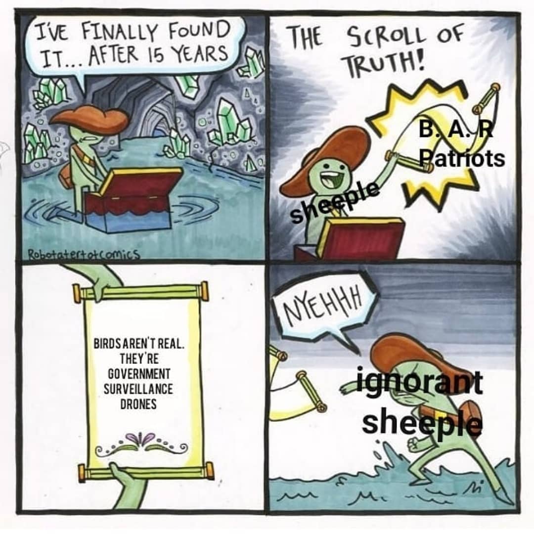 Птиц не существует