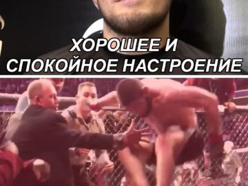 Хабиб перепрыгивает через ограду