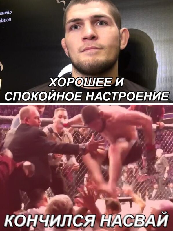Хабиб перепрыгивает через ограду