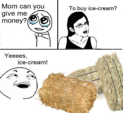Mom Can You Give Me Money Mom Can You Give Me Money