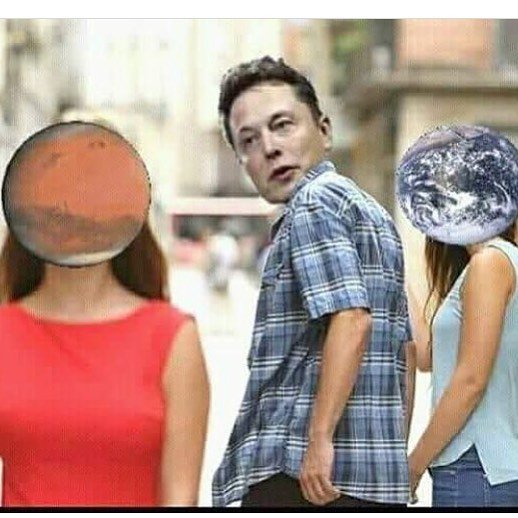 Маск попросил мемы