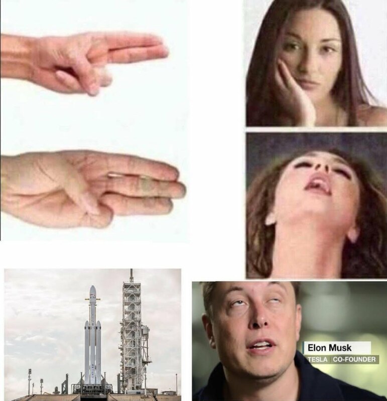Маск попросил мемы